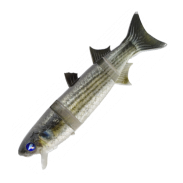 Boracon