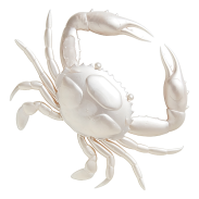 Super Crab